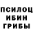 Галлюциногенные грибы MAGIC MUSHROOMS Nazik Varvarin