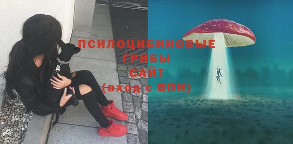 спайс Аркадак