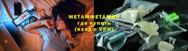 прущие грибы Балабаново
