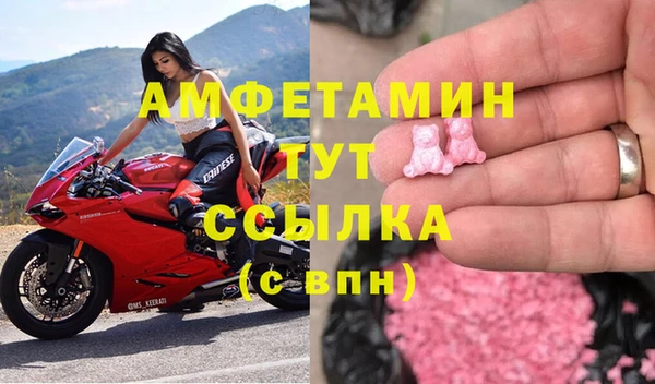 прущие грибы Балабаново