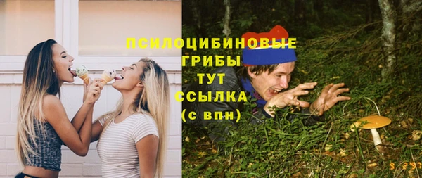 молекула духа Балахна