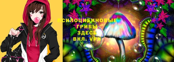 спайс Аркадак