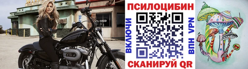 Псилоцибиновые грибы ЛСД Мытищи